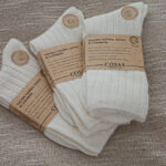 Asarum 3 PARY ŚMIETANKOWE