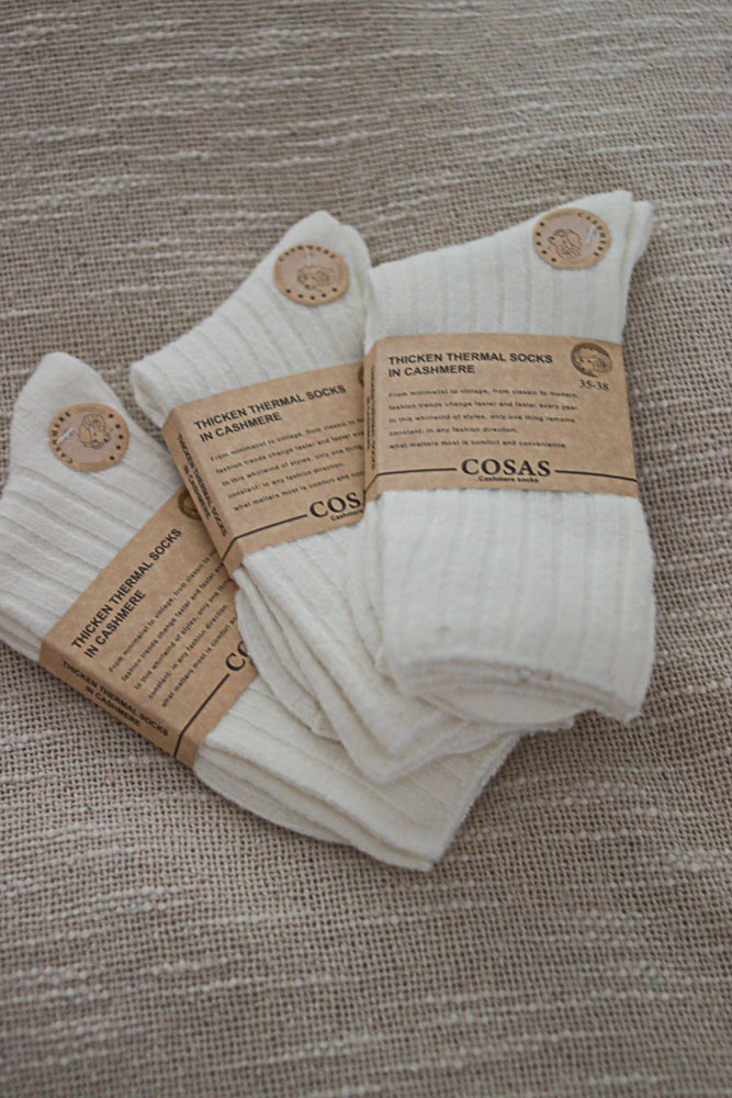 Asarum 3 PARY ŚMIETANKOWE