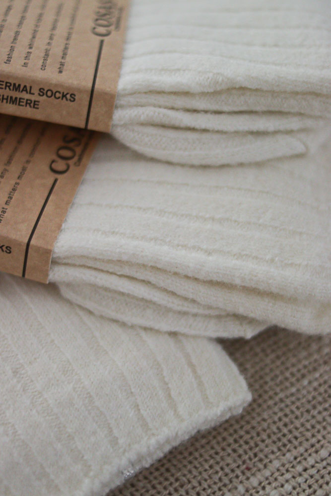 Asarum 3 PARY ŚMIETANKOWE